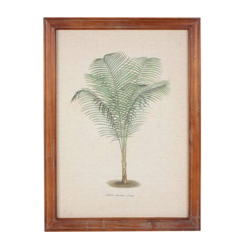 Framed Vintage Palm Wall Art (38x52x1.8cm)