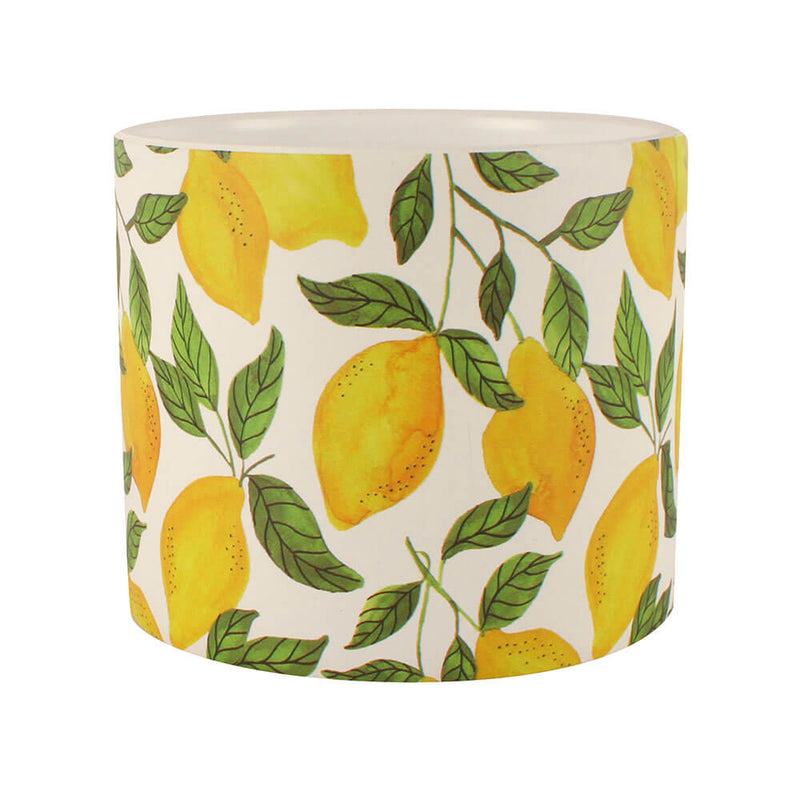 Pot de fleurs en céramique citronnier