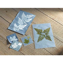 Trousse de science et d'artisanat