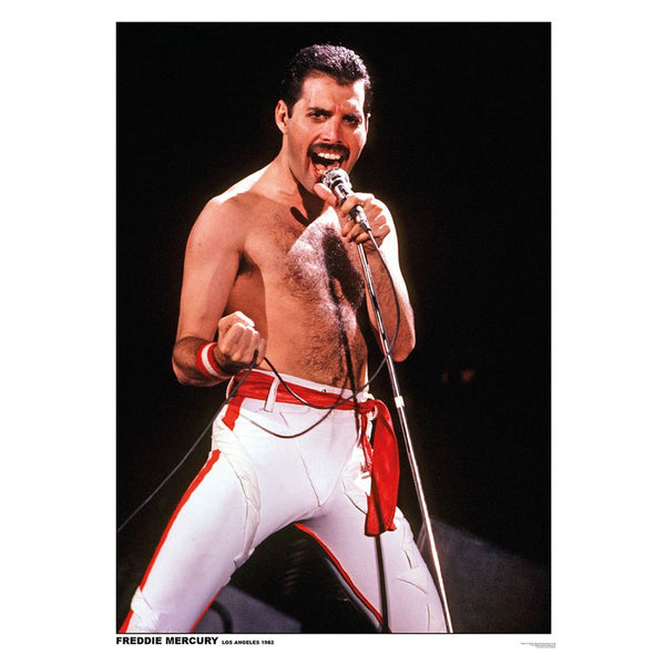 Freddie Mercury Poster