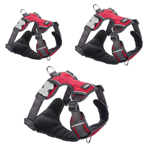 Padded Harness (Red)